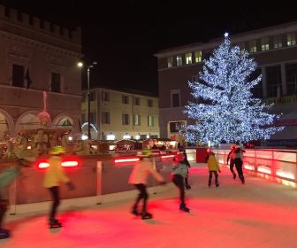 管理人より新年のご挨拶:2019年 albero-piazza